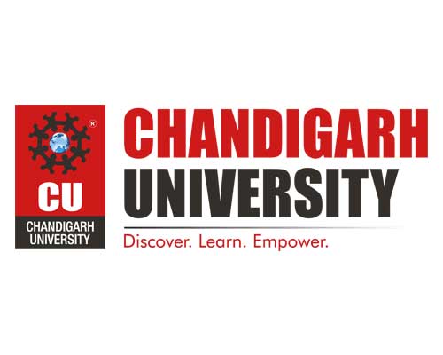 Accurate Info Solutions Ludhiana