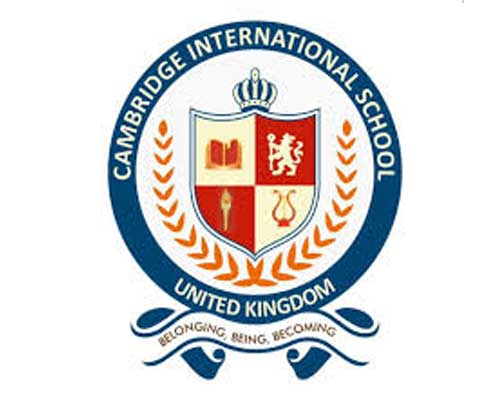 Accurate Info Solutions Ludhiana